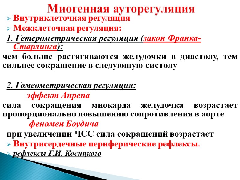 Внутриклеточная регуляция Межклеточная регуляция: 1. Гетерометрическая регуляция (закон Франка-Старлинга): чем больше растягиваются желудочки в